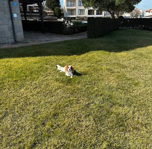 In Paradise View Complex Апартамент Созопол